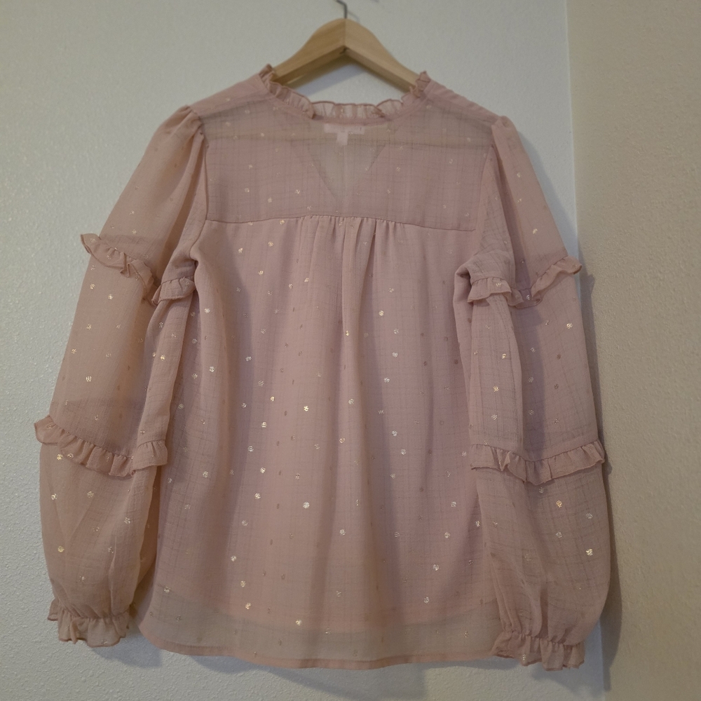 BLU  PEPPER.Pink Sheer Blouse with Ruffle Details